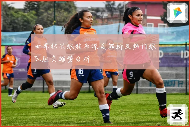 世界杯买球赔率深度解析及热门球队胜负趋势分析