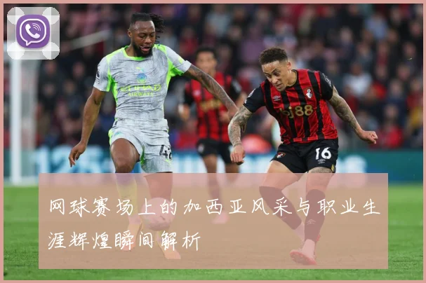 网球赛场上的加西亚风采与职业生涯辉煌瞬间解析