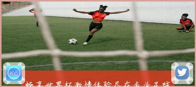 畅享世界杯激情体验尽在专业足球竞猜平台一站式服务
