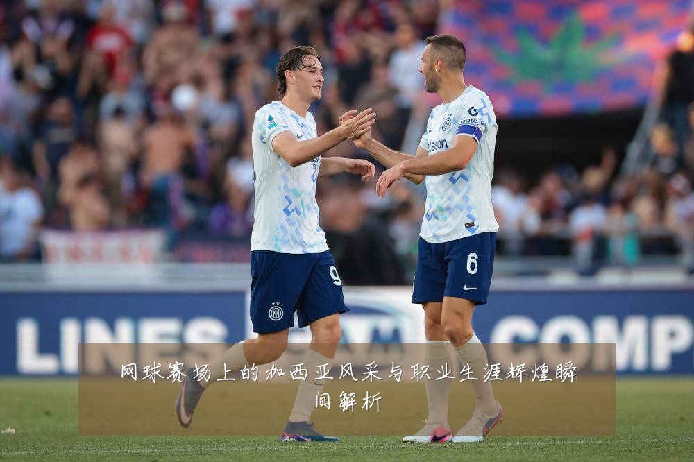 网球赛场上的加西亚风采与职业生涯辉煌瞬间解析