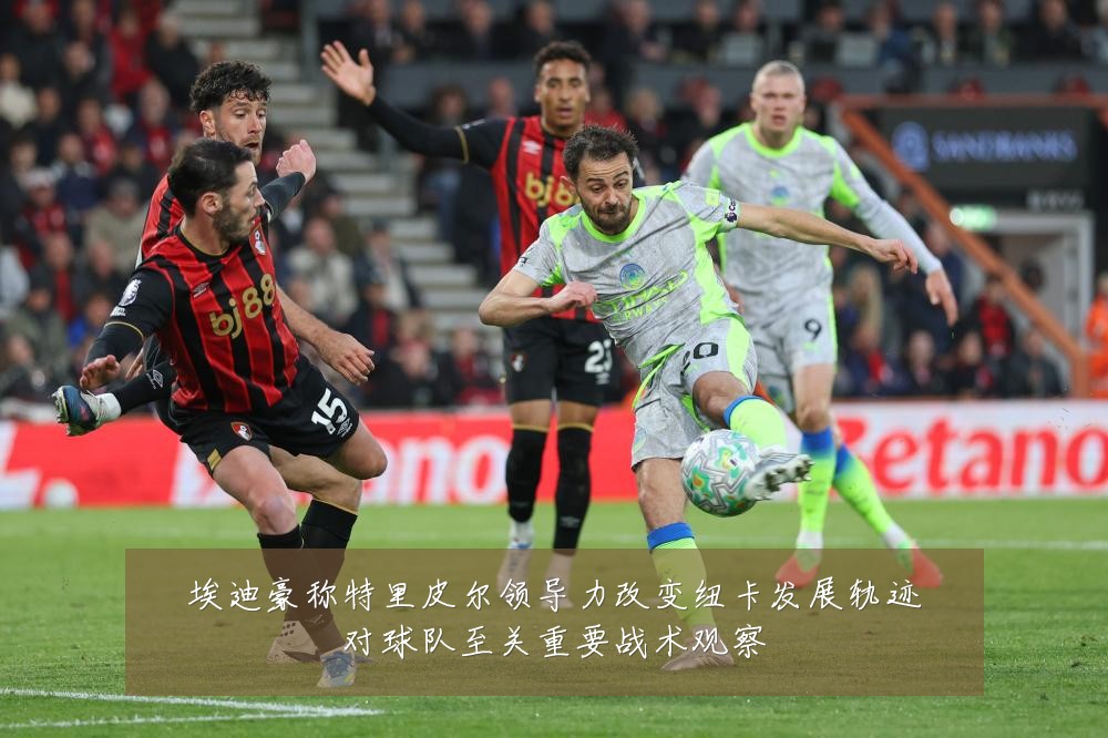 埃迪豪称特里皮尔领导力改变纽卡发展轨迹对球队至关重要战术观察